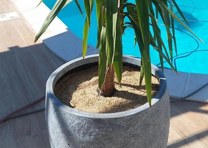 Gaestehaus Kathi בית אירוח